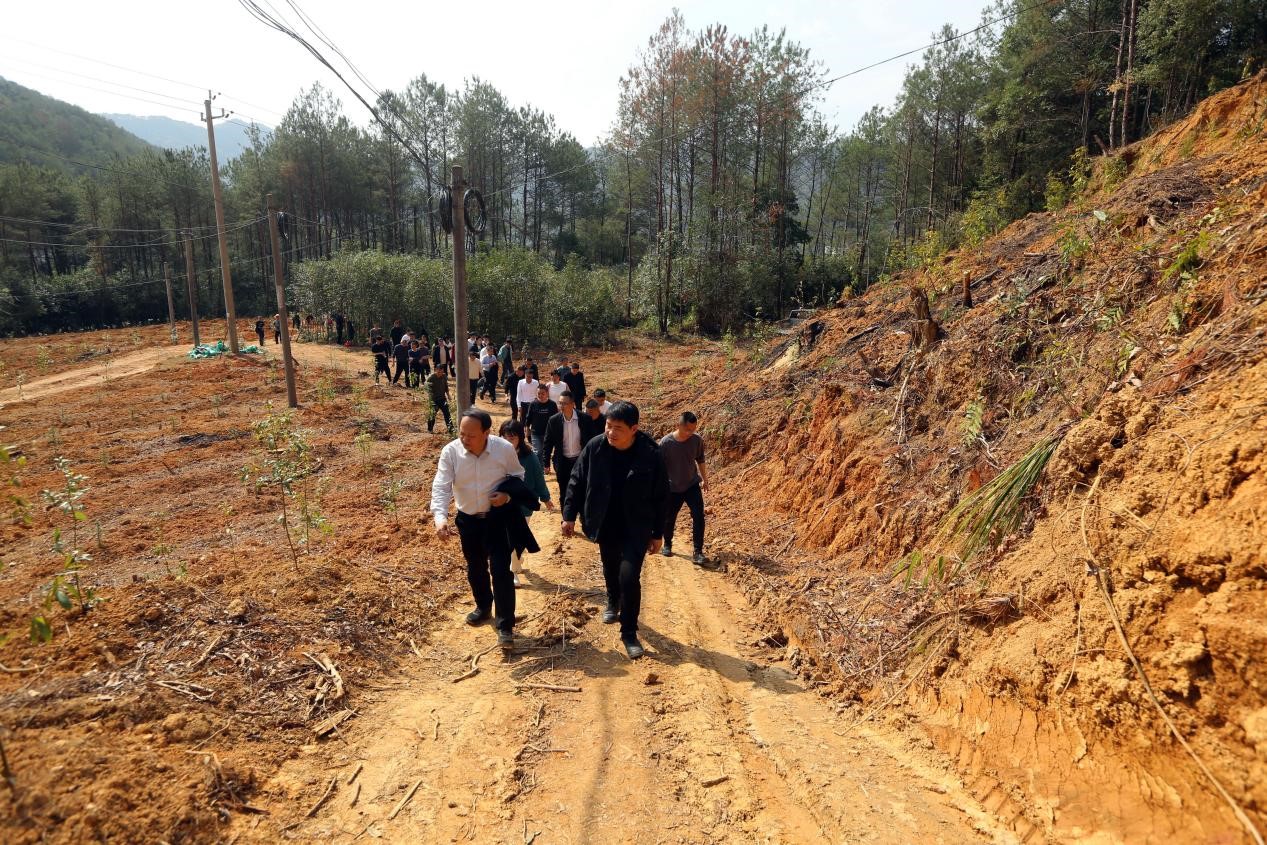 不負春光好，搶播萬畝林 ——將樂縣村企合作造林工作現(xiàn)場會在福建金森召開