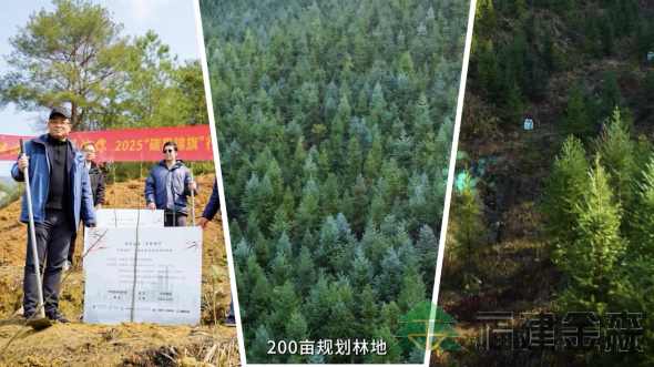 全國首個!!!“滬明杏林”醫(yī)療碳匯林項目成功啟動 福建金森攜手多方共推醫(yī)療與生態(tài)融合發(fā)展新范式